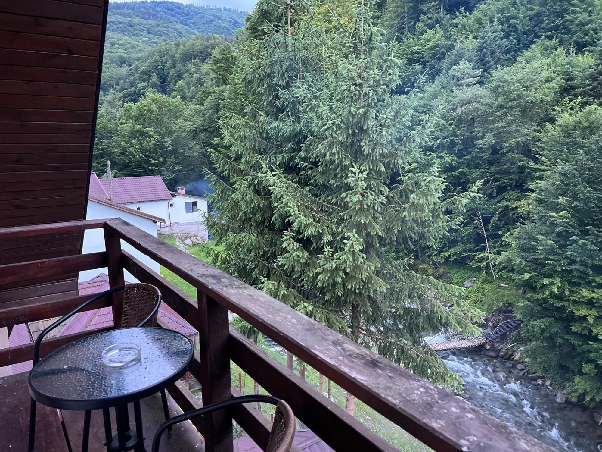 Pensiunea Flora Cârțișoara Exterior photo