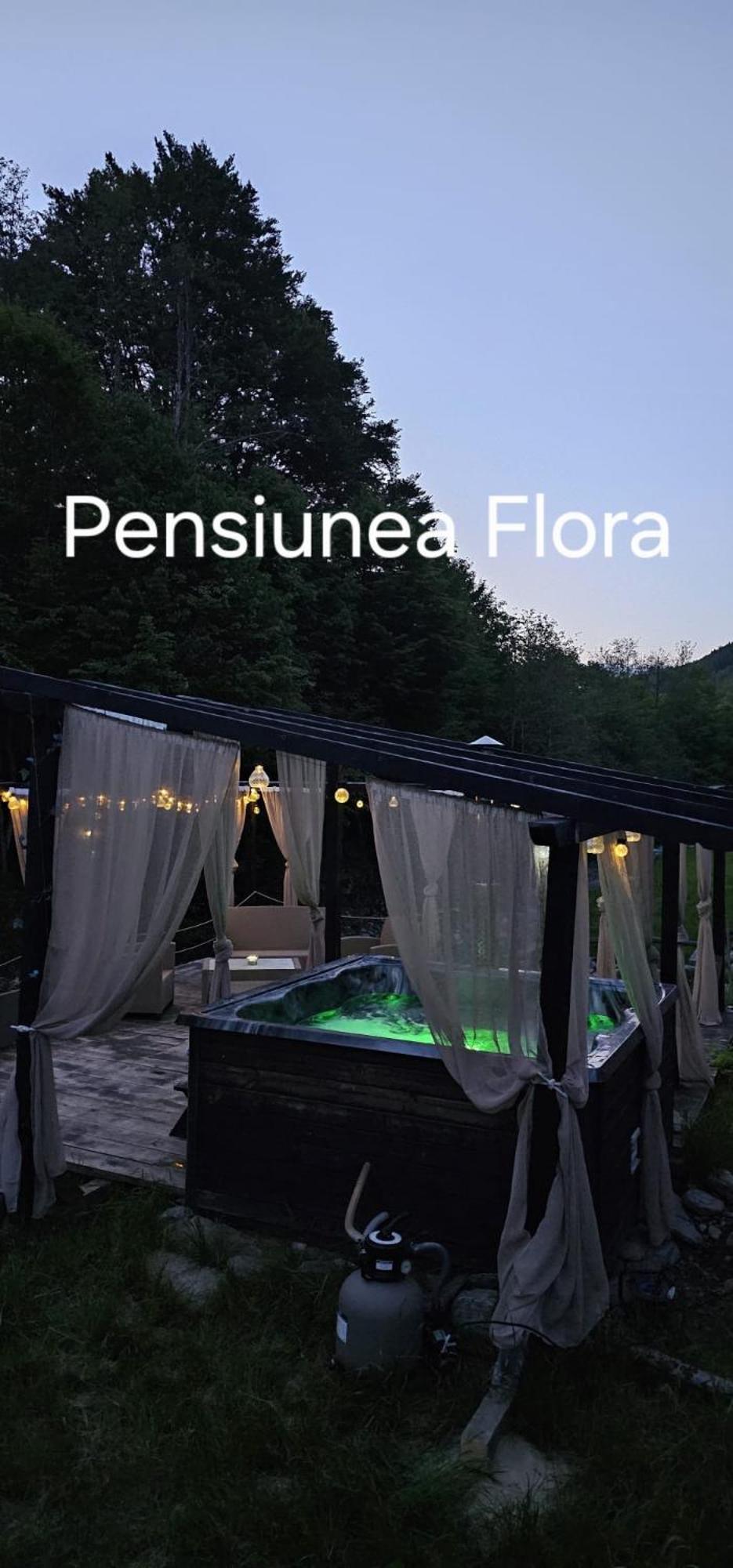 Pensiunea Flora Cârțișoara Exterior photo