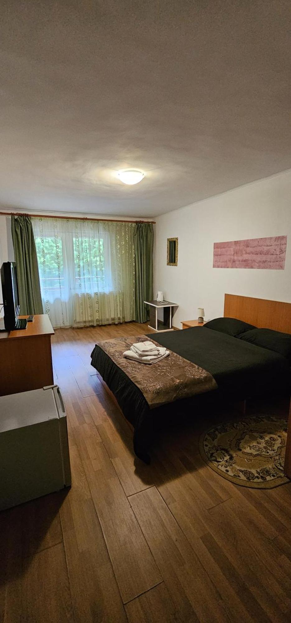 Pensiunea Flora Cârțișoara Exterior photo