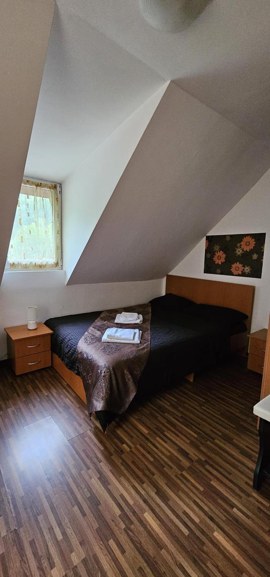 Pensiunea Flora Cârțișoara Room photo