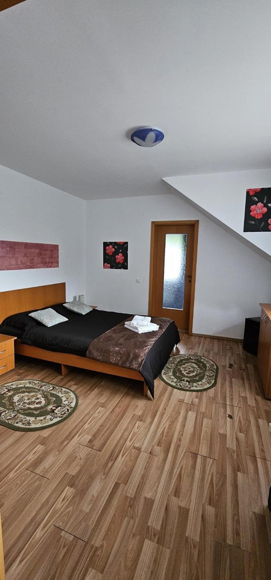 Pensiunea Flora Cârțișoara Exterior photo