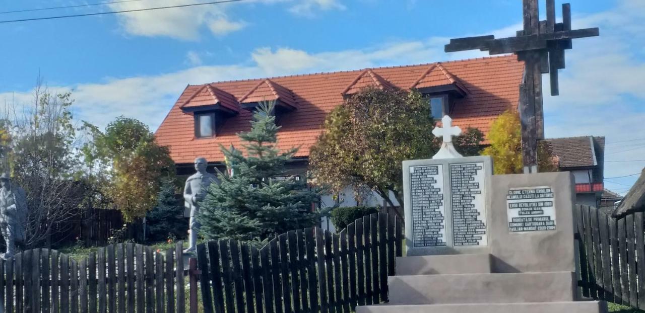 Pensiunea Flora Cârțișoara Exterior photo